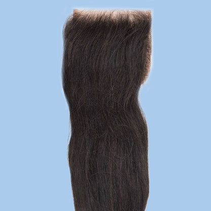 LDB Collections Malaysian Silky Straight Closure